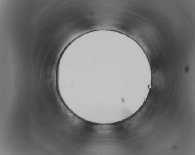 X0000094971150200712061422