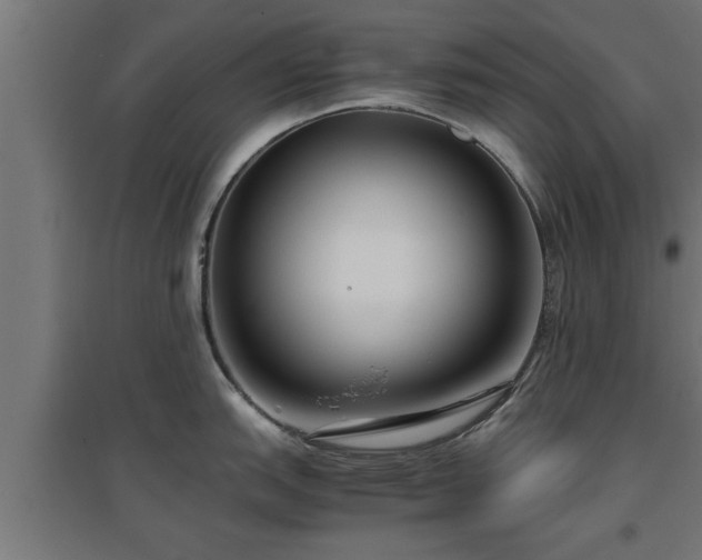 X0000094971151200712061422