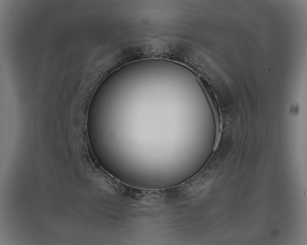 X0000094971153200712061421