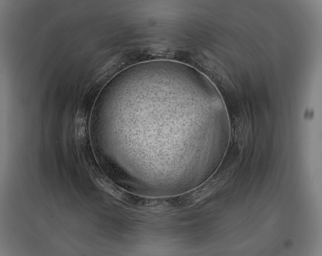 X0000094971154200712061421