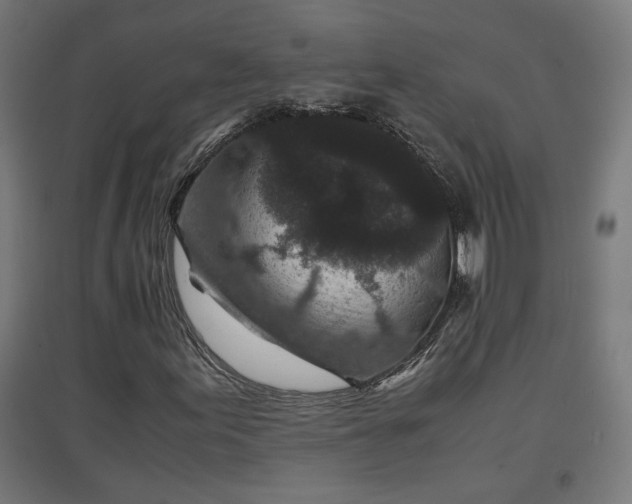 X0000094971155200712061421