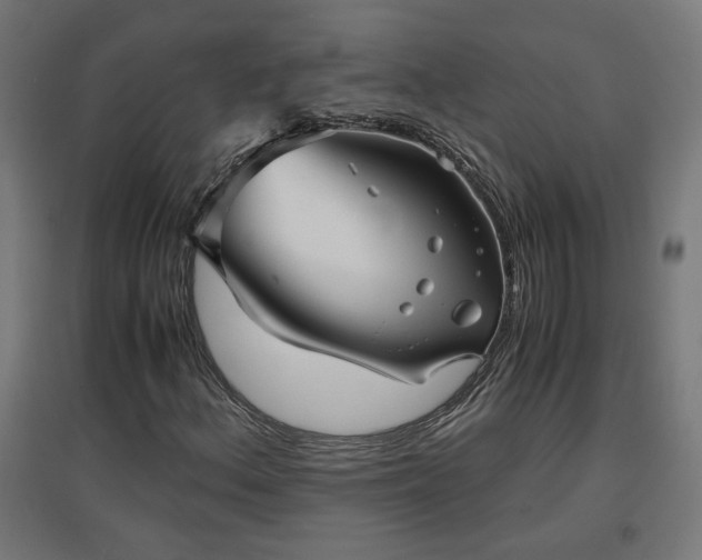 X0000094971156200712061421