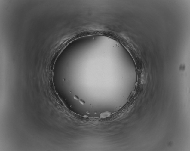 X0000094971157200712061421