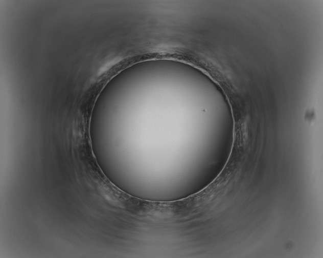 X0000094971158200712061421