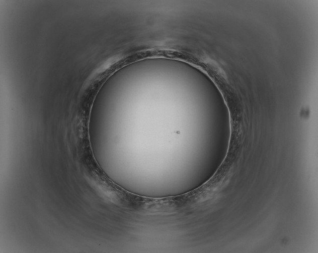 X0000094971159200712061421