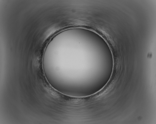 X0000094971163200712061421