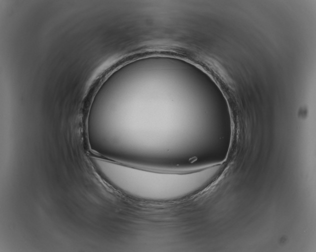 X0000094971164200712061421