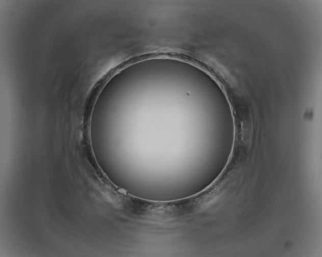 X0000094971165200712061421