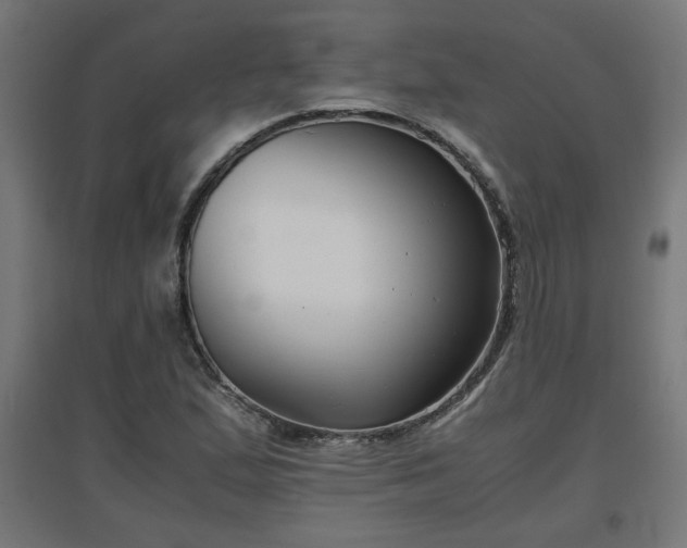 X0000094971167200712061421