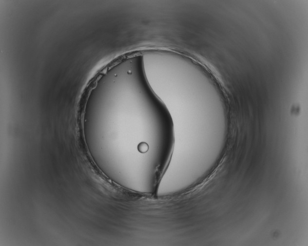 X0000094971168200712061421