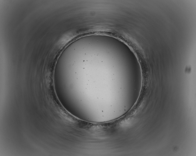 X0000094971169200712061421