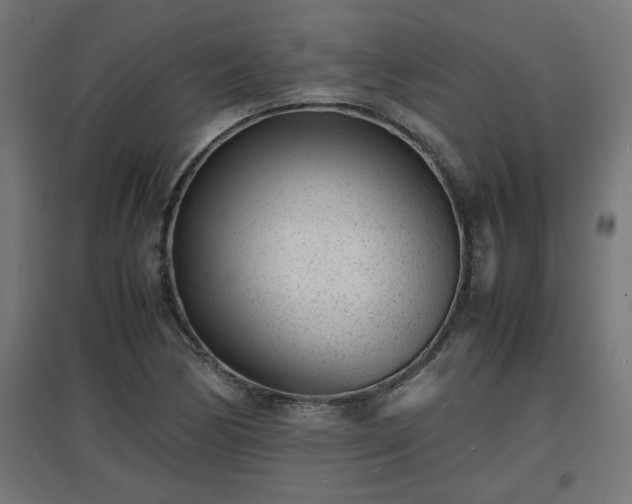 X0000094971170200712061421