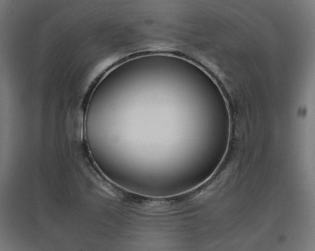 X0000094971171200712061421