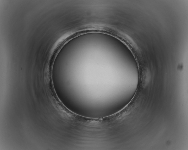 X0000094971172200712061421