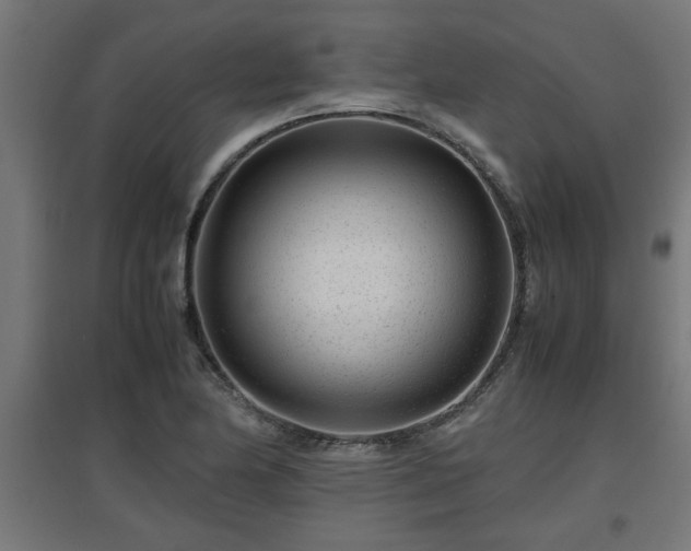 X0000094971174200712061421