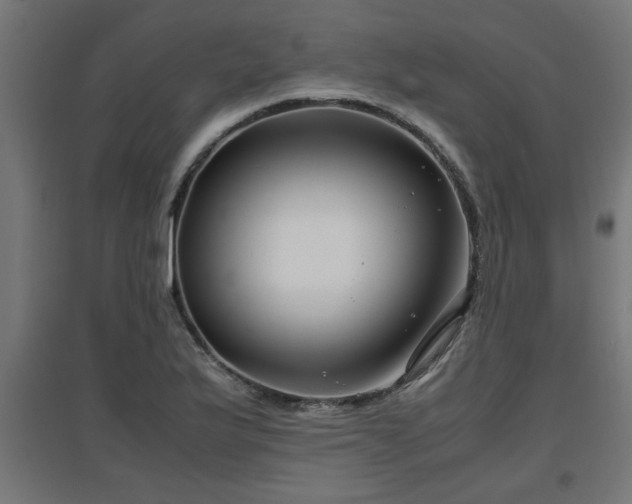 X0000094971175200712061420