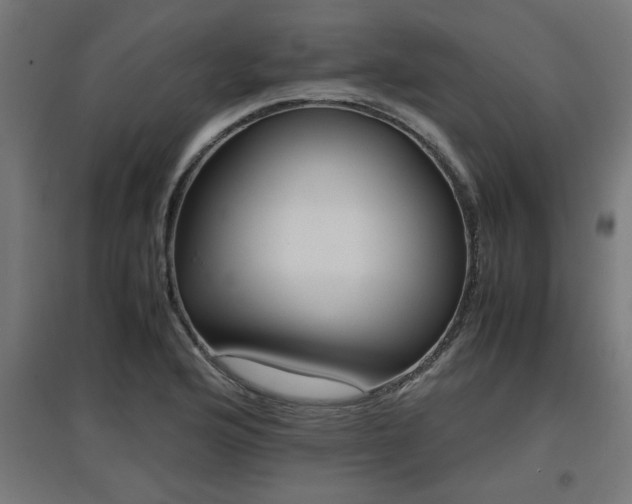 X0000094971176200712061420