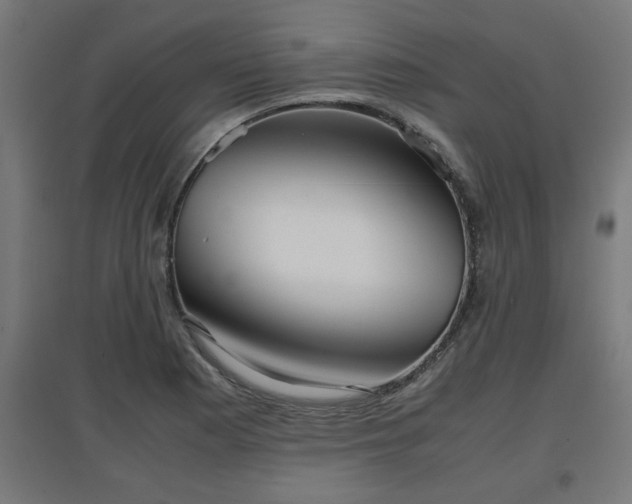 X0000094971177200712061420