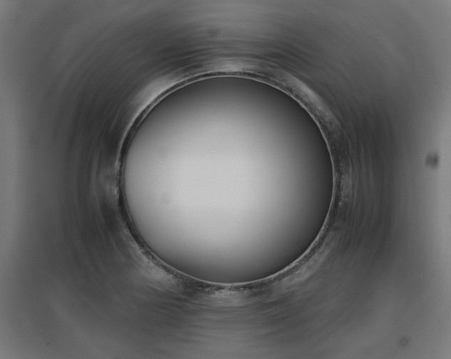 X0000094971178200712061420