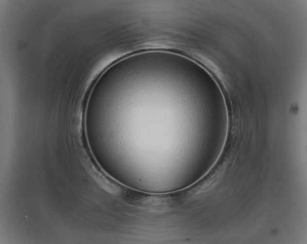 X0000094971179200712061420