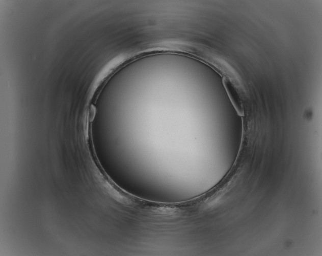 X0000094971180200712061420