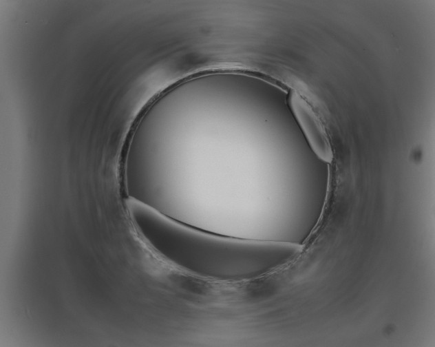 X0000094971181200712061420