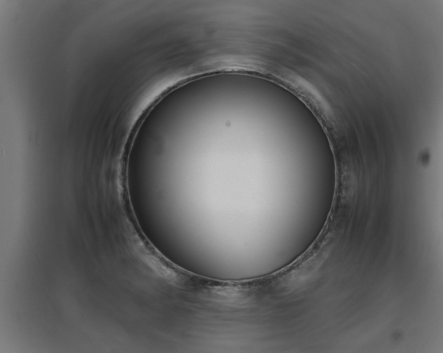 X0000094971182200712061420