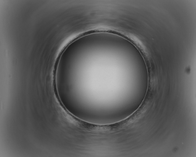 X0000094971183200712061420