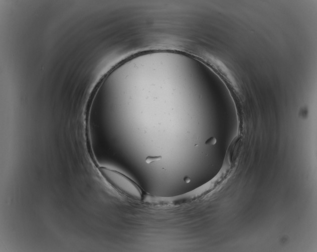 X0000094971184200712061420