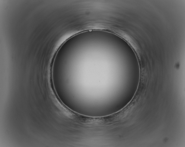 X0000094971187200712061420