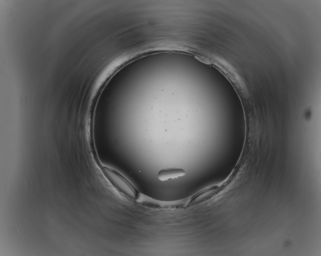 X0000094971188200712061420