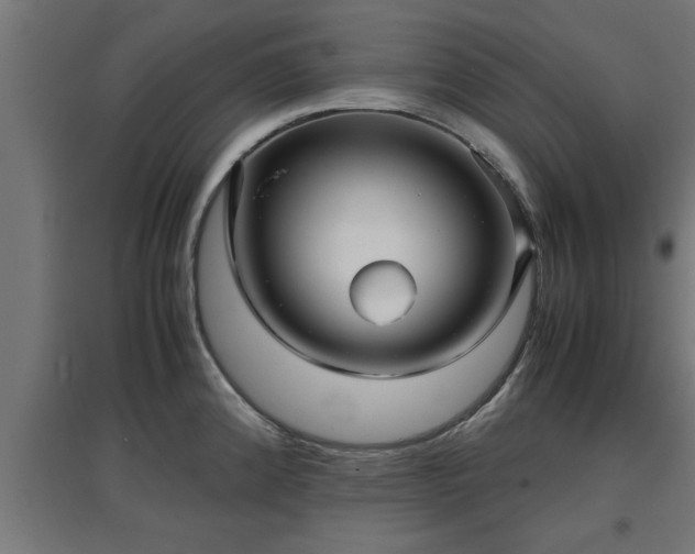 X0000094971192200712061420