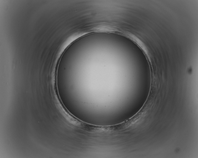 X0000094971195200712061420