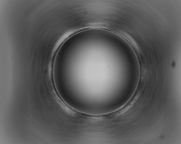 X0000094971196200712061420