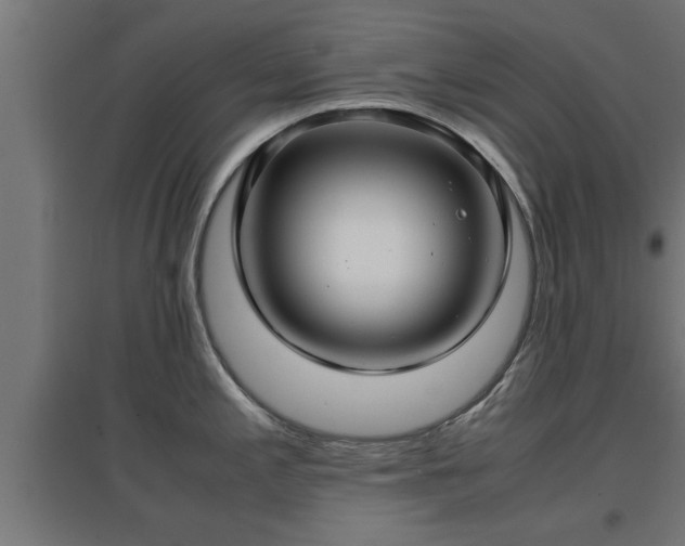 X0000094971197200712061420