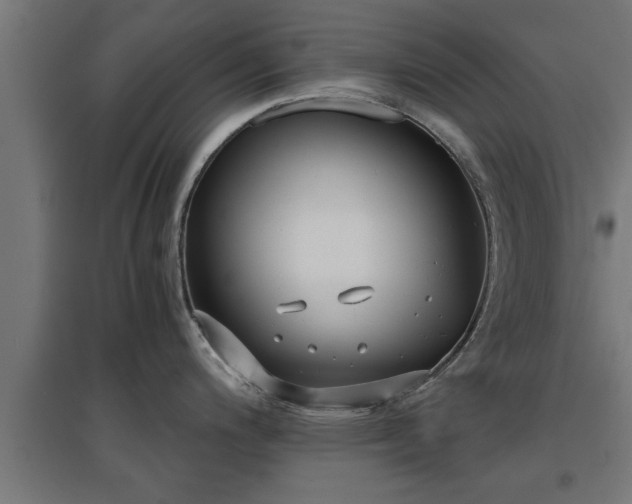 X0000094971200200712061420