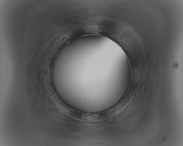 X0000094971201200712061419