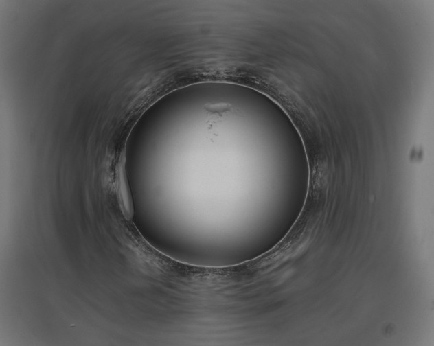 X0000094971202200712061419