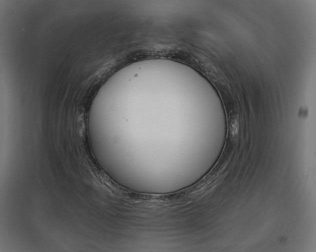 X0000094971204200712061419