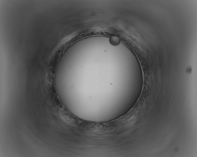 X0000094971207200712061419