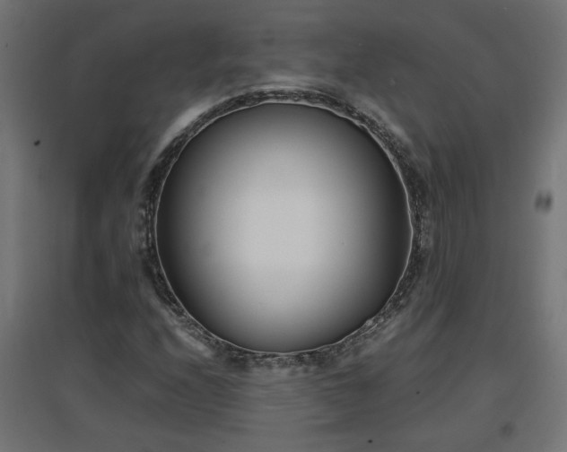 X0000094971208200712061419