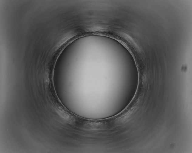 X0000094971209200712061419