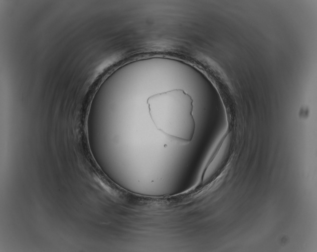 X0000094971210200712061419