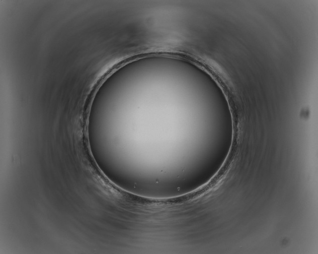 X0000094971212200712061419