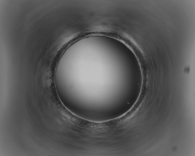 X0000094971213200712061419