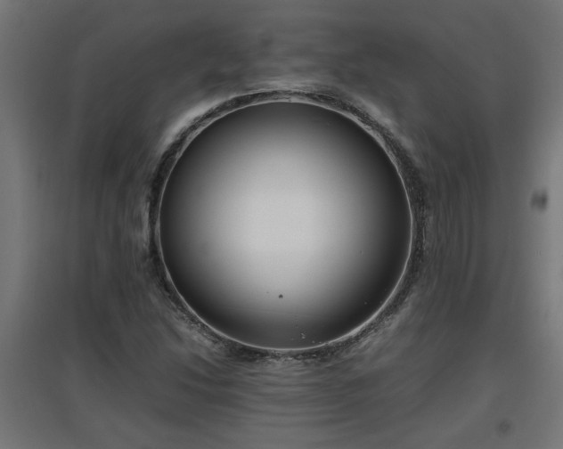 X0000094971214200712061419