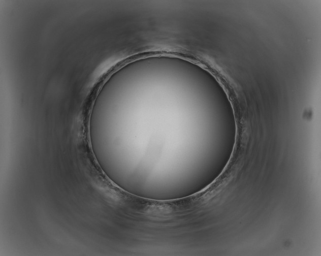 X0000094971215200712061420