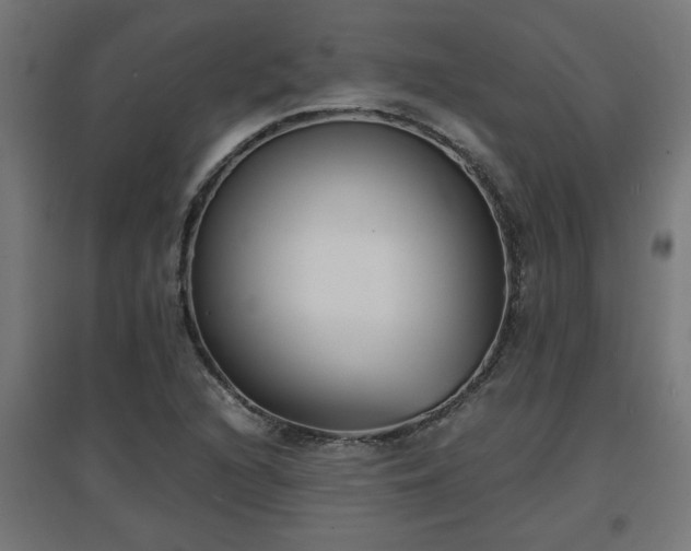 X0000094971216200712061420