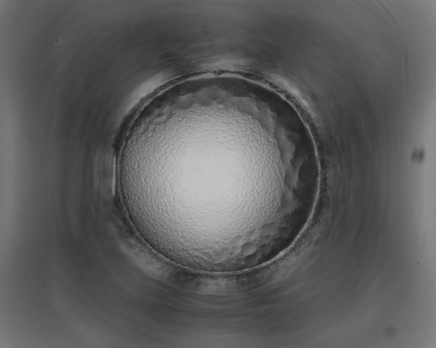 X0000094971219200712061420