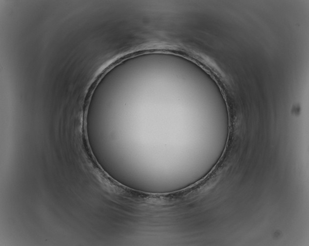 X0000094971220200712061420